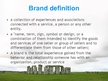 Презентация 'The Power of Brand', 2.