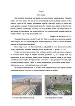 Реферат 'Romas imperatora Vespasiāna ieguldījums Senās Romas mākslā un arhitektūrā', 8.
