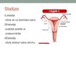 Презентация 'Dzemdes ķermeņa jeb endometrija vēzis', 9.