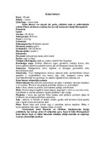 Конспект 'Lemuri', 4.