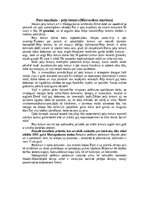 Конспект 'Lemuri', 7.