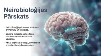 Презентация 'Neirobioloģijas pārskats', 1.