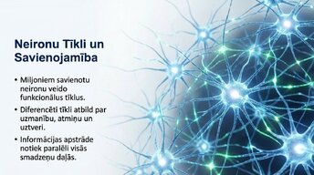 Презентация 'Neirobioloģijas pārskats', 9.
