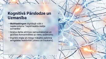 Презентация 'Neirobioloģijas pārskats', 13.