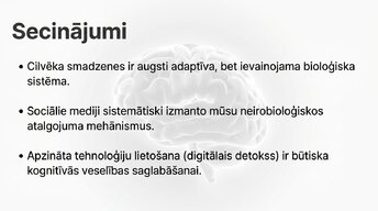 Презентация 'Neirobioloģijas pārskats', 14.