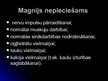 Презентация 'Magnijs', 6.