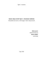 Реферат 'Padziļinātā kursa Dizains un tehnoloģijas II darbs interjera dizainā', 1.