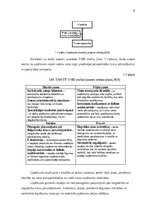 Отчёт по практике 'Prakses atskaite', 6.