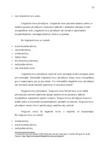 Отчёт по практике 'Prakses atskaite', 12.