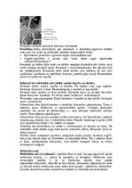 Конспект 'Augu audu veidi', 2.