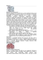 Конспект 'Augu audu veidi', 3.