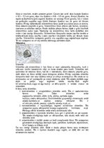 Конспект 'Augu audu veidi', 4.