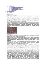 Конспект 'Augu audu veidi', 6.