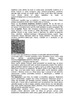 Конспект 'Augu audu veidi', 8.
