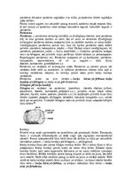 Конспект 'Augu audu veidi', 12.
