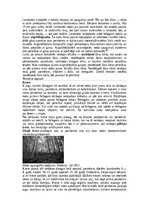 Конспект 'Augu audu veidi', 14.