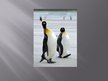 Презентация 'Pingvīnu kārta', 7.