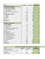 Образец документа 'Finanšu analīze un riski', 9.