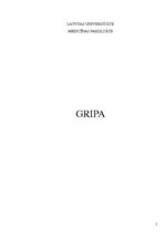 Эссе 'Gripa', 1.