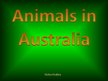Презентация 'Animals in Australia', 1.