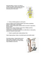 Конспект 'Gāzu sadales mehānisms (GSM)', 4.