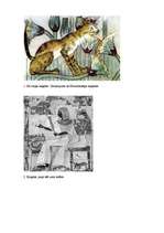 Эссе 'Kaķu attēlojums un nozīme Senajā Ēģiptē', 13.