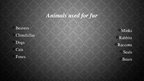 Презентация 'Using Animals Fur for Clothes', 4.