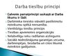 Презентация 'Darba tiesību principi un funkcijas', 6.