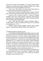 Дипломная 'Uzņēmuma darbinieku motivācijas sistēmas analīze un uzlabošana', 43.