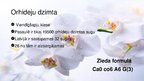 Презентация 'Viendīgļlapju klase - orhideju un liliju dzimta', 10.