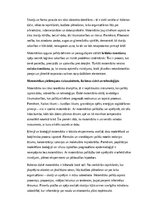 Эссе 'Matemātika – domāšanas māksla un dzīves ceļvedis', 3.