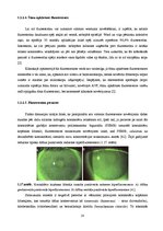 Дипломная 'Lielmolekulārā un mazmolekulārā fluoresceīna pielietojamības salīdzinājums optom', 23.