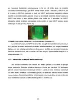 Дипломная 'Lielmolekulārā un mazmolekulārā fluoresceīna pielietojamības salīdzinājums optom', 28.