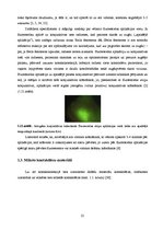Дипломная 'Lielmolekulārā un mazmolekulārā fluoresceīna pielietojamības salīdzinājums optom', 30.