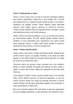 Эссе 'Vēstule kā lietišķās saziņas instruments un tās nozīme mūsdienu komunikācijā', 1.