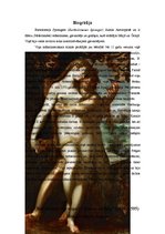 Реферат 'Bartolomejs Sprangers "Ādams un Ieva". Mākslas darba analīze', 5.