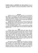 Конспект 'Kuskusi', 11.