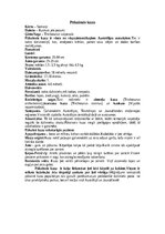 Конспект 'Kuskusi', 13.