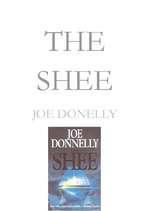 Конспект 'Joe Donelly ''The Shee''', 1.