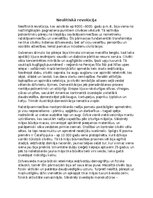 Эссе 'Neolītiskā revolūcija', 1.