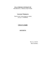 Реферат 'Celuloze - biopolimērs', 1.