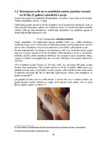 Презентация 'Tetovējumu izvēle un to simboliskā nozīme jauniešu sabiedrībā Latvijā', 28.