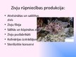 Презентация 'Zivsaimniecība un zivrūpniecība Latvijā', 6.