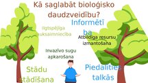 Презентация 'Bioloģiskā daudzveidība Latvijā', 7.