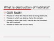 Презентация 'Destruction of Habitats', 2.
