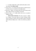 Реферат 'Tiesībsarga (ombuda) funkcijas cilvēktiesību aizsardzībā', 4.