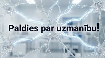 Презентация 'Hroniska stresa ietekme uz hipokampu un mācīšanās spējām', 17.