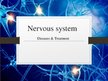 Презентация 'Nervous System', 1.
