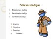 Презентация 'Stresa ietekme uz cilvēku un stresa vadīšanas iespējas', 6.