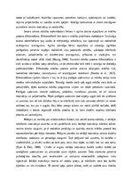 Эссе 'Talanta attīstību sekmējošie faktori', 3.